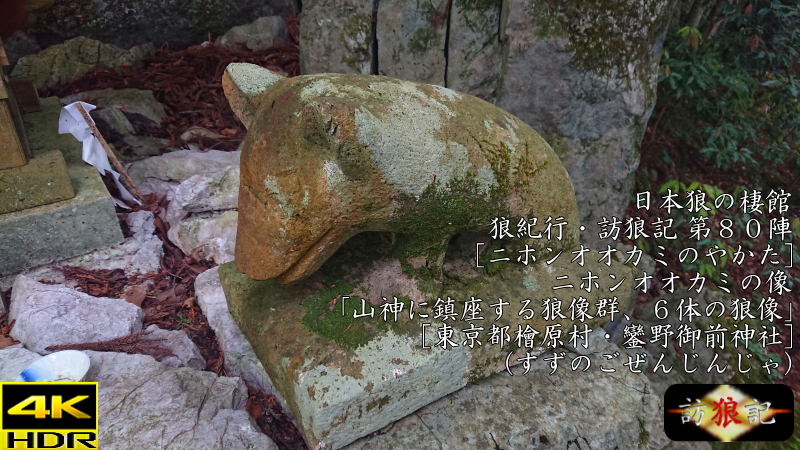 日本狼の棲館 [ニホンオオカミのやかた]～彼らはこの嶺々の何処かに棲んでいる～ 東京都檜原村・鑾野御前神社(ひのはらむら すずのごぜんじんじゃ)