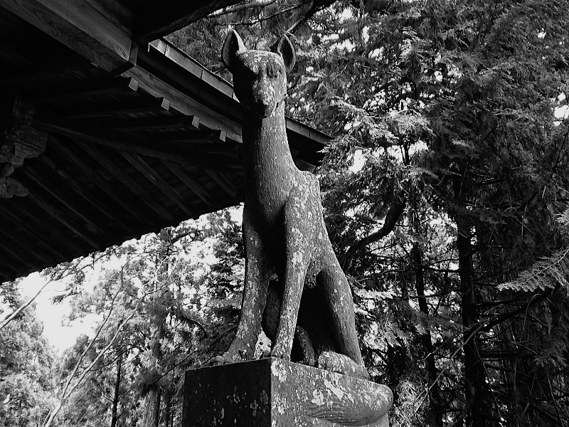 春埜山大光寺　狼像