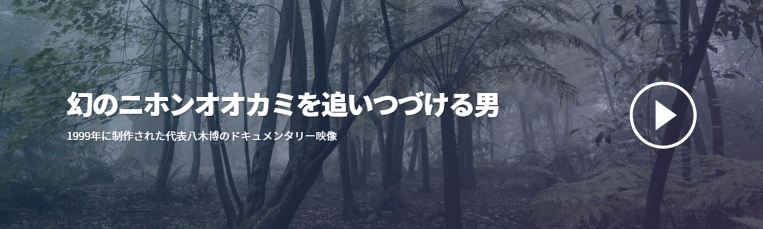 幻のニホンオオカミ　日本狼の棲館 [ニホンオオカミのやかた]～彼らはこの嶺々の何処かに棲んでいる～